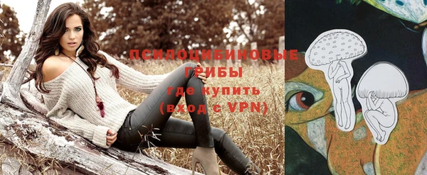 индика Беломорск