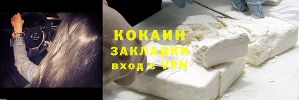 индика Беломорск