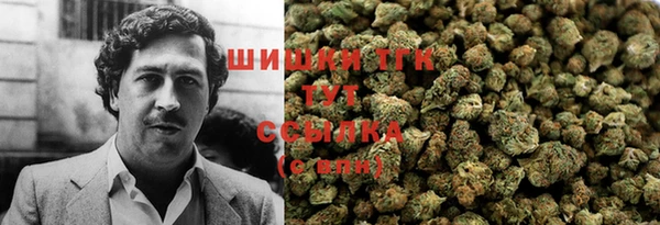 индика Беломорск