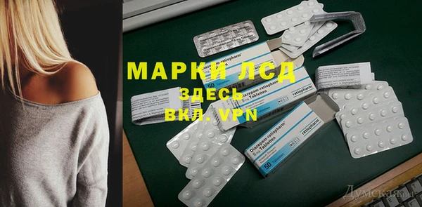 индика Беломорск