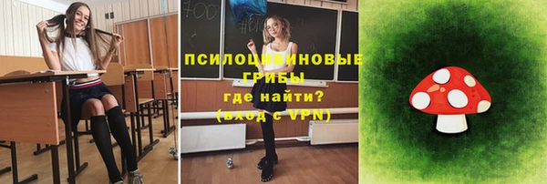 индика Беломорск