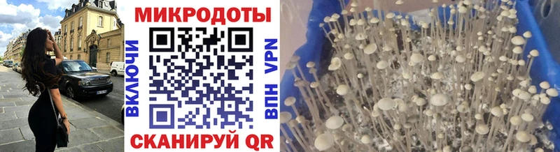 Псилоцибиновые грибы прущие грибы  Купить  Семикаракорск 